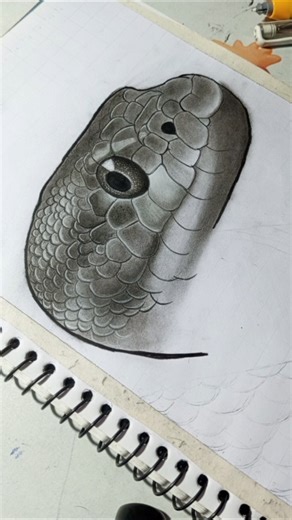 REALISTIC Snake Head Sketch Made Easy!