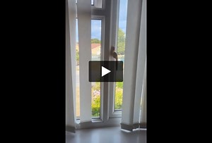 Big room to rent for single professional female