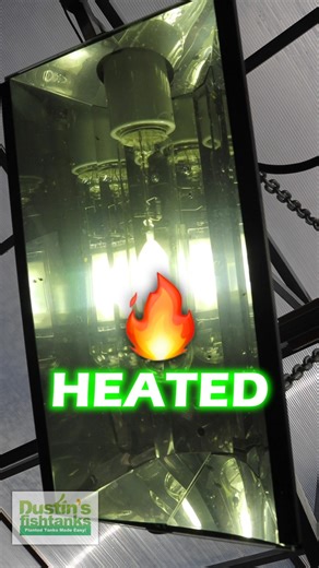 METAL HALIDES GROW PLANTS! What are your thoughts? They give you everything that your plants need to thrive. TANK ON! #light #aquariumlight #aquariumlighting #lighting #metalhalide #halide #aquarium #rap #rapping #ryhmes #ravemode #rave #thebest #howto #lights #greenhouse #greenhouses #fishtank #fishtanklight | Dustin's Fishtanks