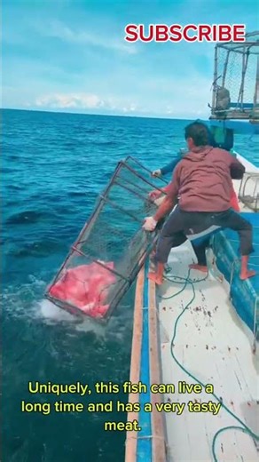 Red Snapper: Delicious & Healthy from the Ocean #seafood #shorts