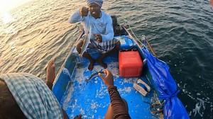 309K views · 1K reactions | We Caught Barracuda fishing in longline | இந்திய பெருங்கடல் மீனவன் Indian Ocean Fisherman | Facebook