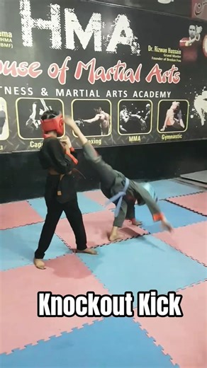 Knockout Kicks #martialarts #selfdifence #fightback #kungfu #kempo #kravmaga #wushufight #mma