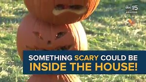 113 reactions · 57 shares | PICK ONE: When I was a kid, my BEST...