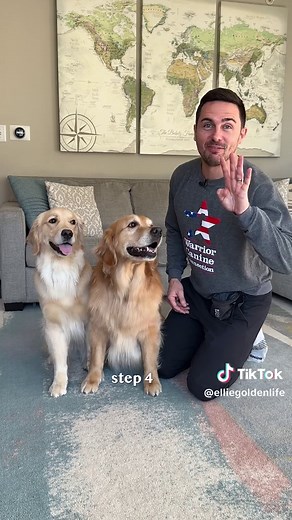 How I taught my dogs hug 💛 | Golden Retriever Life