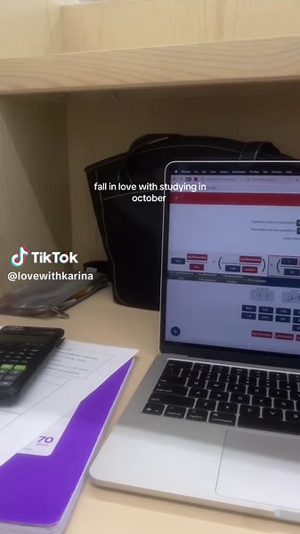 Romanticizing Studying: Cozy Fall Sessions