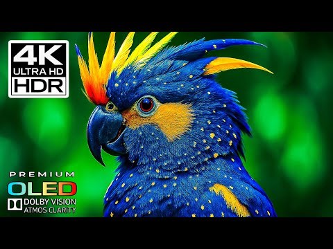 BREATHTAKING 4K HDR Ultra HD Video | Dolby Vision 60fps (4K TV Demo)