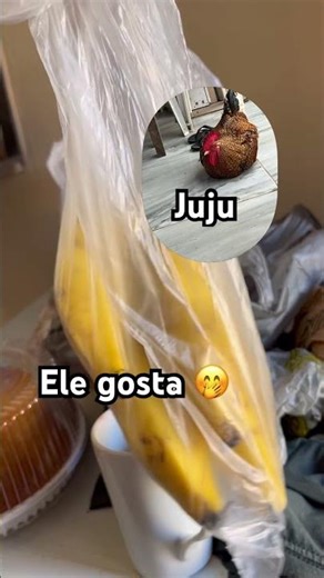 #casalredex #seguenois