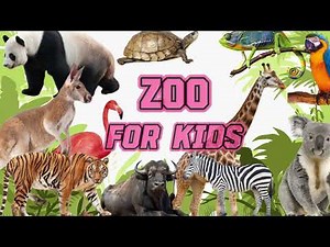 LEARNING WILD ANIMALS AND BIRDS IN A ZOO FOR KIDS IN ENGLISH - (Vocabulary and Sounds)