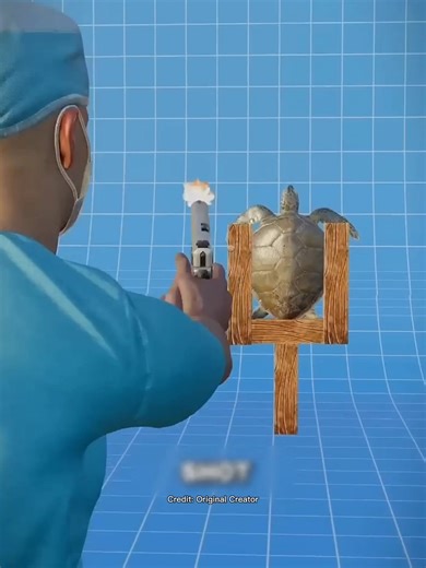 Can a Turtle Shell Stop a Bullet? | #shorts #facts