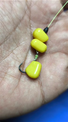 Tips for Installing Bait for Carp Fishing #shorts #fishing #tutorial