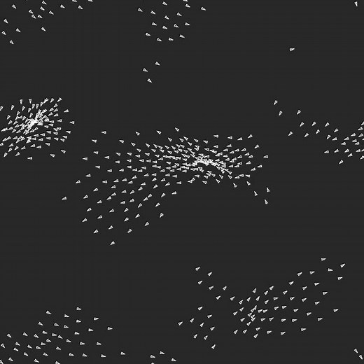 Craig Reynolds' Boids