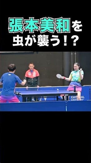 【まさかの襲撃⁉️】#張本美和 が虫にビックリ‼️｜世界卓球2026ロンドン100周年大会 （団体戦）5月2日（土）開幕！