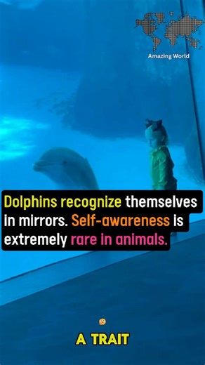 #DidYouKnow #factsdaily #science | Amazing World