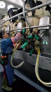 Precision. Power. Performance. From the parlor to the pen, GEA tech keeps your dairy running strong. 💪 | GEA Farming - United States