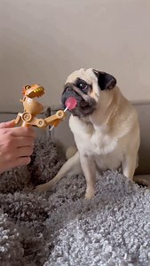 202K views · 4K reactions | My new toy… 練 We have Partnered with...