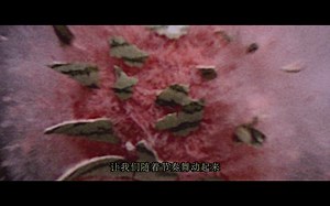 【游民星空】《Project SAS》全新PV