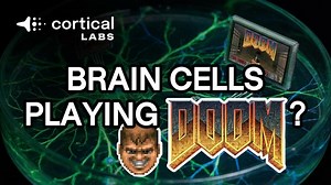 Living Human Brain Cells Play DOOM on a CL1 | Michael Tsapenko