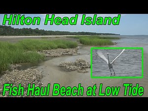 Hilton Head Island Fish Haul Beach [LOW TIDE Montage]
