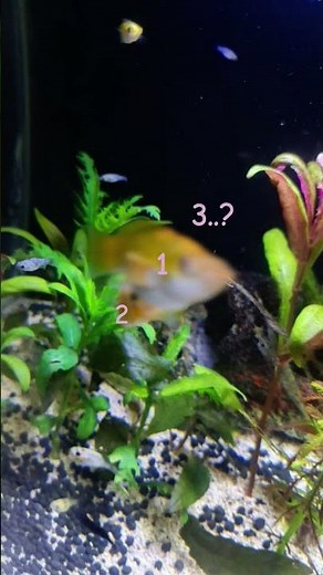 old video that i posted (dw im ok)