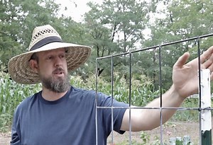 How to Make a Simple Cattle Panel Garden Trellis (That's Sturdy and Lasts Forever!) | The Survival Gardener