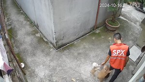 Casting Lật mặt 8 🙂 | Cafe Kinh Tế