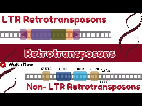 Retrotransposons: Mobile DNA Elements - How LINEs & SINEs Jump Around the Genome |Molecular Genetics