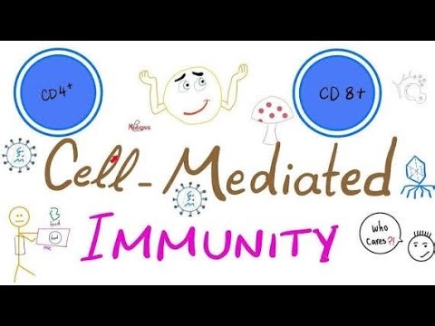 Cell-Mediated Immunity Explained | T-Cells, Cytotoxic Response& Adaptive Immune Defense | Immunology