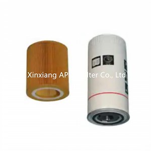 [Hot Item] High Quality Filter Kit 2901069500 Include Air Filter and Oil Filter