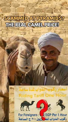 Don’t get SCAMMED at the Pyramids! 🐫🚫 #egypt #shorts