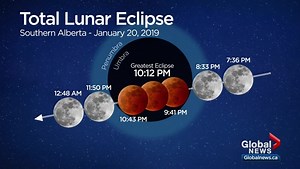 Total lunar eclipse, ‘super blood wolf moon’ a treat for southern Alberta skygazers