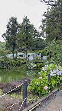 【神奈川県】鎌倉観光 小町通り 散策 2026年6月