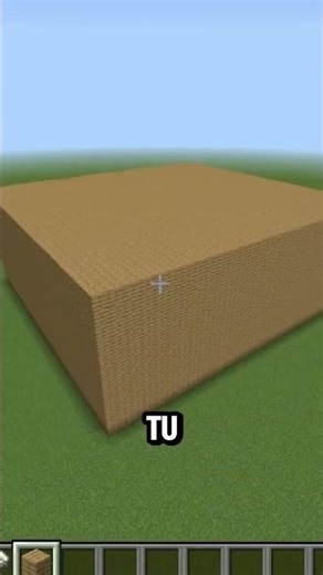 JAVA EDITION vs BEDROCK EDITION 🤯​🤯​