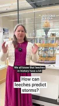 How could leeches predict a storm?