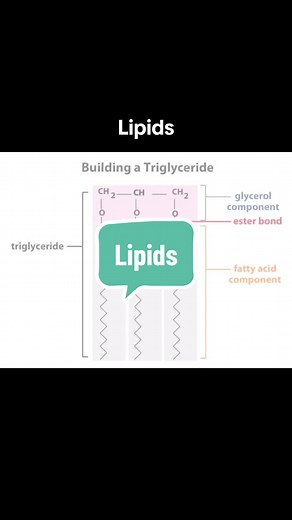 A Biology Teacher on TikTok
