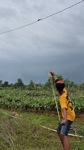 Animal slingshot tied to a cable | Moh Nasir