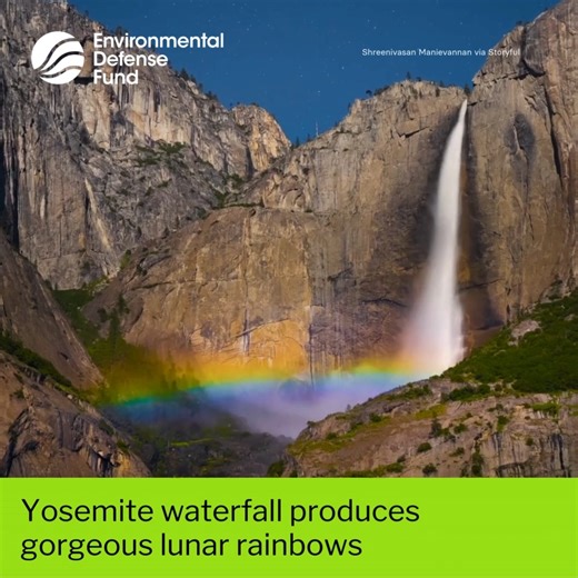 3.2K views · 58 reactions |   A combination of mist and lighting...