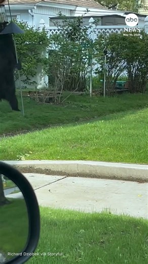Authorities in Springfield, Massachusetts, warned locals to be on alert over the weekend after a bear was spotted roaming town — with this one seen prancing across a street and snacking on a bird feeder. https://t.co/O0zin58fU8