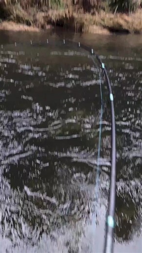 Exploring PNW Winter Steelhead Fishing Techniques