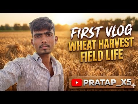My First Vlog: Wheat Harvesting in the Fields 🌾 | Field Life -:@PRATAP_X5