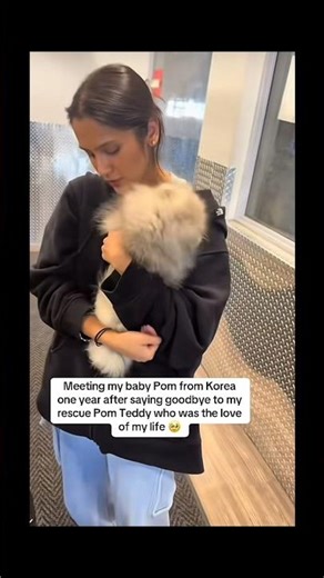 Woman meets her new dog for the first time!🥰 #cute