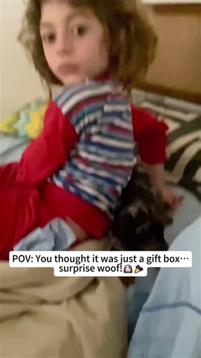 Surprising a New Best Friend: Heartwarming Dog Moments