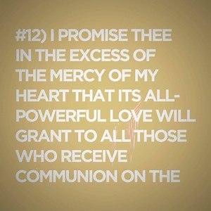 36 reactions · 24 shares | Such riches and comfort Our Lord promises to give us through devotion to His Sacred Heart! Watch John Vennari’s entire presentation, “The Sacred Heart and the French Revolution, here: https://www.youtube.com/watch?v=-Nj6foUZ5Ko | The Fatima Center | Facebook