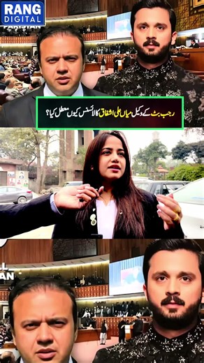 New Update on Creator Search Insights