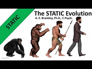The STATIC Evolution