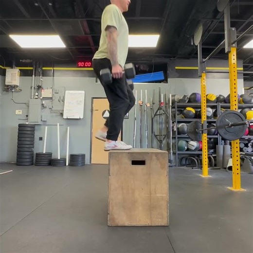 Weighted box step up variations