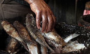 Egypt’s traditional 'fesikh' dish can cause botulism poisoning, Health Ministry warns