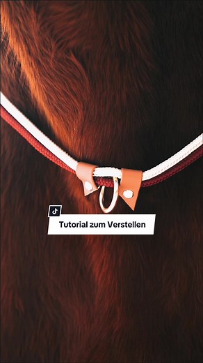 Tutorial zum Verstellen - Sueno Pets