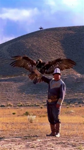The Skies Most Deadly Predator