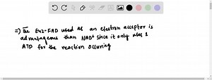 SOLVED:Role of FAD as Electron Acceptor Acyl-CoA dehydrogenase uses enzyme-bound FAD as a prosthetic group to dehydrogenate the αand βcarbons of fatty acyl-CoA. What is the advantage of using FAD as an electron acceptor rather than NAD ^  ? Explain in terms of the standard reduction potentials for the Enz-FAD/FADH 2(E^'∘=-0.219 V) and NAD^  / NADH (E^'∘=-0.320 V) half-reactions.