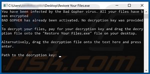 Gopher Ransomware